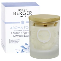 Maison Berger Geurkaars Aroma Focus