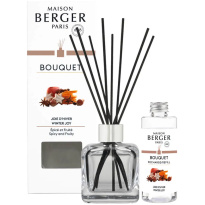 Maison Berger Geurstokjes Giftset Joie D Hiver